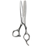 Mizutani master schorem